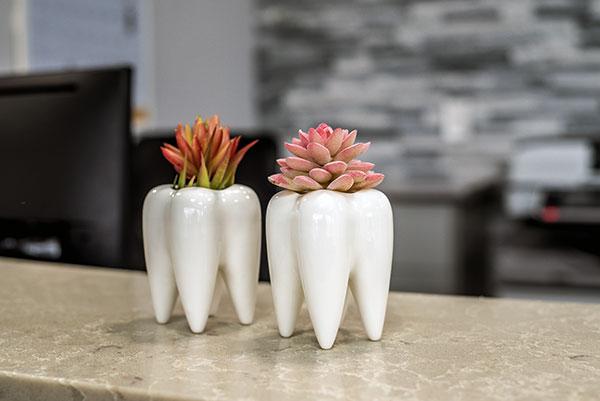 picture of teeth with flowers at Smiley Dental in Bolton, ON